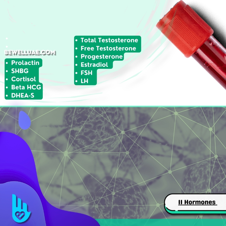 Hormones 11